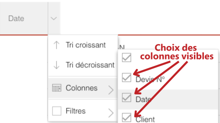Choix des colonnes visibles